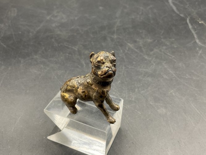 Chien bronze de Vienne  Austrian Wien cold painted  Dog