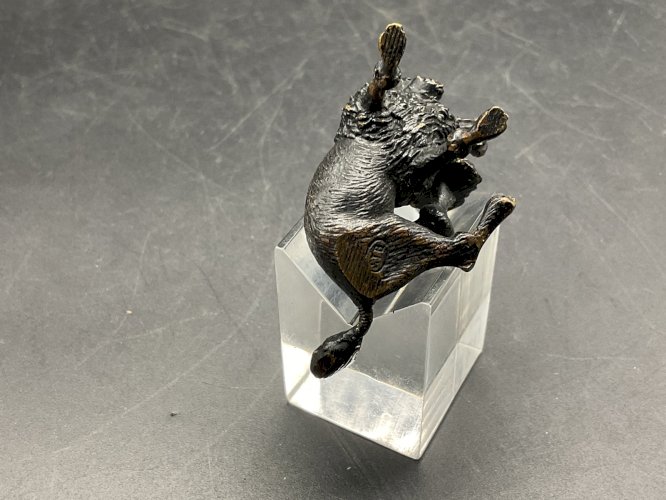 Chien bronze de Vienne  Austrian Wien cold painted  Dog