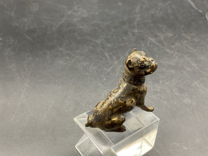 Chien bronze de Vienne  Austrian Wien cold painted  Dog