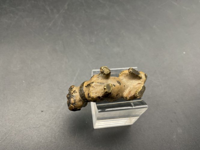 Chien bronze de Vienne  Austrian Wien cold painted  Dog