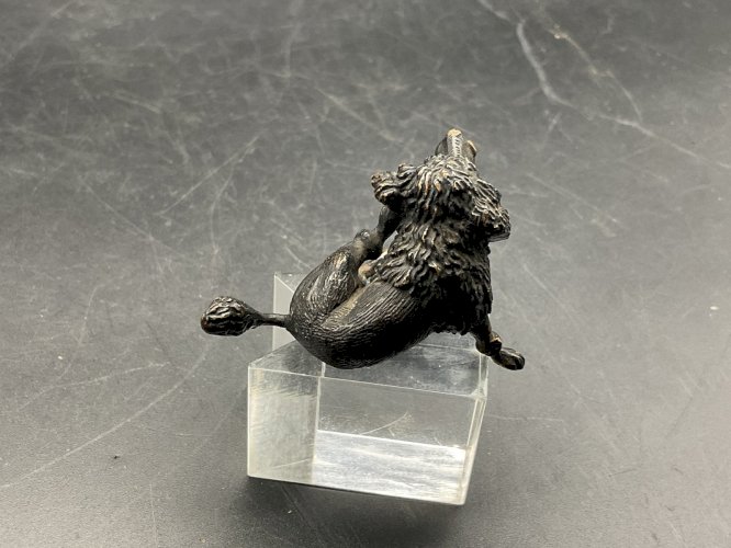 Chien bronze de Vienne  Austrian Wien cold painted  Dog