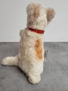 dot