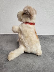 dot
