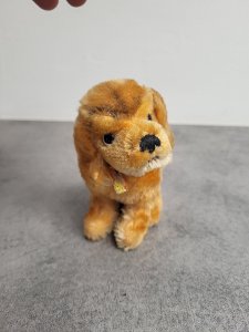dot