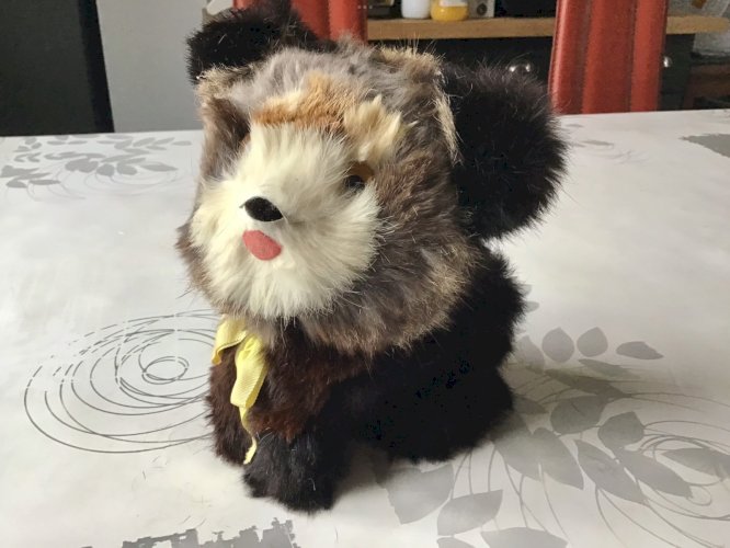 CHIEN VINTAGE FOURRURE qui bouge la tête  plage arrière de voiture