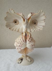 Chouette en coquillage Vintage