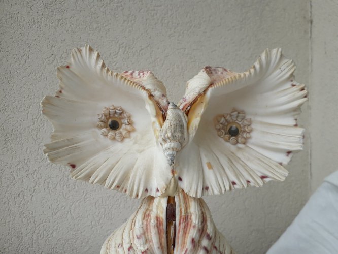 Chouette en coquillage Vintage