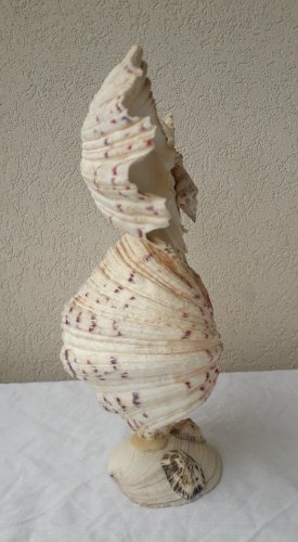 Chouette en coquillage Vintage