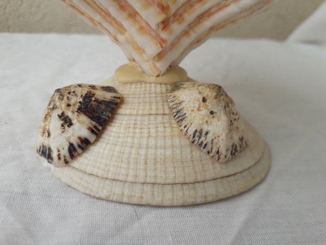 Chouette en coquillage Vintage