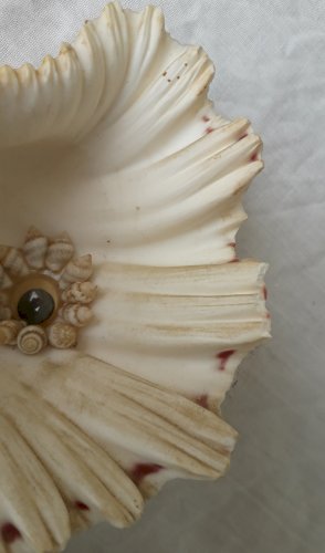 Chouette en coquillage Vintage