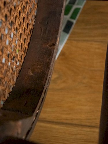 Claude, la chaise Thonet cannée en bois N°1000