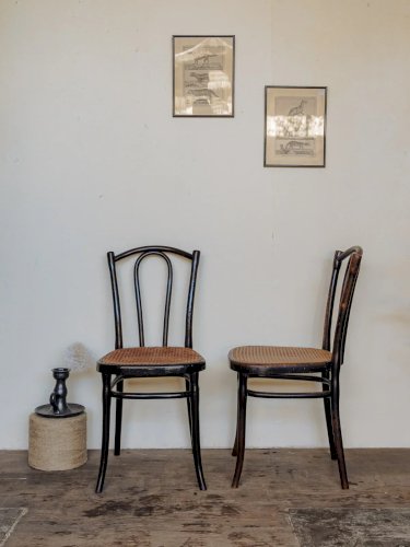 Claude, le lot de 4 chaises Thonet N°965