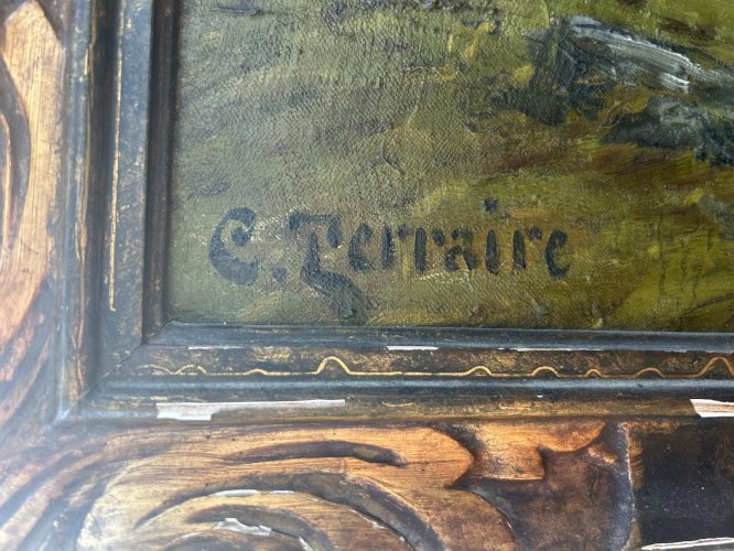 Clovis TERRAIRE HST GLACIER DE TACONNAZ MONT-BLANC VACHES EN ALPAGE 19 MONTAGNE