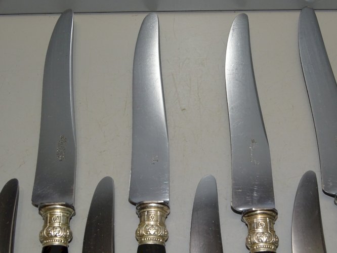 -COFFRET 12 COUTEAUX BOIS PRECIEUX Chiffrés DB Lames gravées GENEBRIAS LIMOGES D