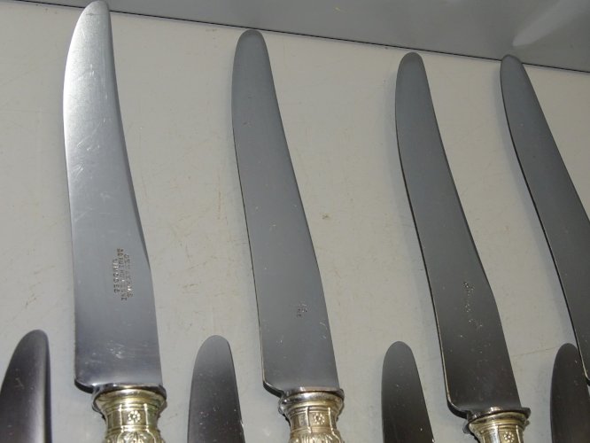 -COFFRET 12 COUTEAUX BOIS PRECIEUX Chiffrés DB Lames gravées GENEBRIAS LIMOGES D