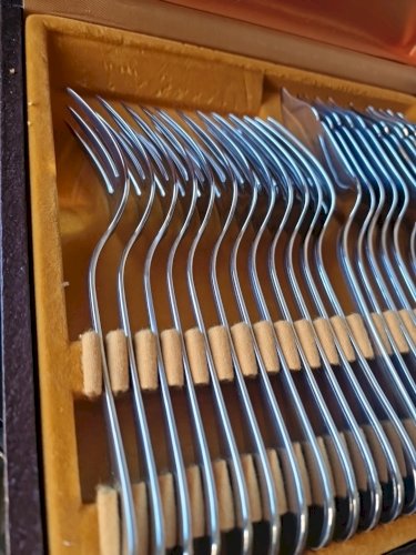 Coffret à poisson guy degrenne 24 Pièce En Inox