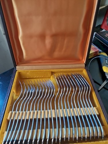 Coffret à poisson guy degrenne 24 Pièce En Inox