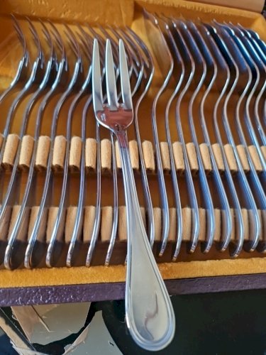 Coffret à poisson guy degrenne 24 Pièce En Inox