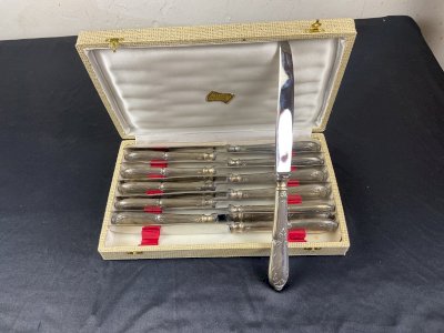 coffret de 12 couteaux de table lame inox orfèvre