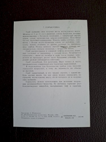 Collection de 32 cartes Champignons série complète