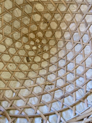 Collection de 7 chapeaux traditionnels vietnamiens