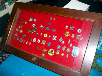COLLECTION DE PIN'S MILITAIRES