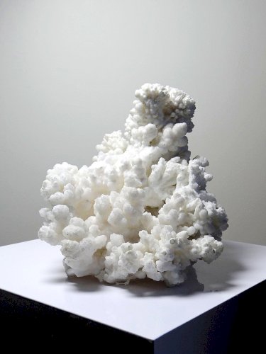 Collection minérale ancien specimen d'Aragonite blanche de Mexique +3,2kg
