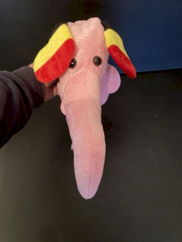 collector PLV BIERE DELIRIUM TREMENS CHAPEAU BOB BEER BELGIUM ELEPHANT ROSE