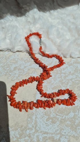 Collier ancien- ras de cou en corail
