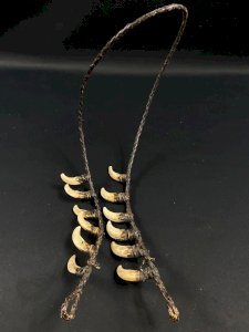 Collier tribal dents cochon sanglier parure rituelle Papouasie Nouvelle Guinée