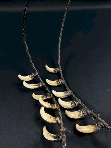 Collier tribal dents cochon sanglier parure rituelle Papouasie Nouvelle Guinée