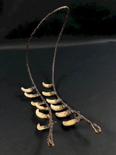 Collier tribal dents cochon sanglier parure rituelle Papouasie Nouvelle Guinée