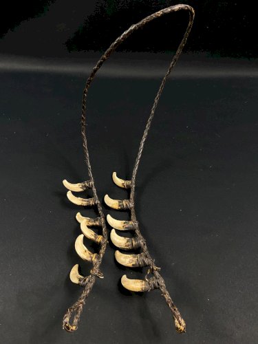 Collier tribal dents cochon sanglier parure rituelle Papouasie Nouvelle Guinée