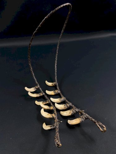 Collier tribal dents cochon sanglier parure rituelle Papouasie Nouvelle Guinée