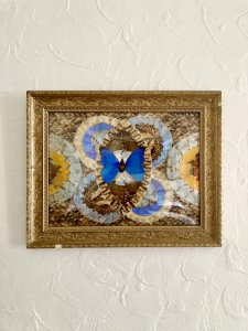 Abstract composition with butterfly wings framed