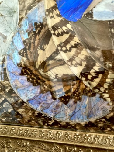 Composition abstraite en ailes de papillons encadrée