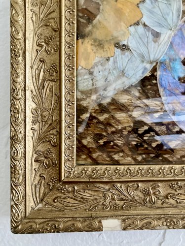 Composition abstraite en ailes de papillons encadrée