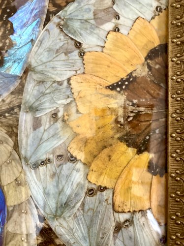 Composition abstraite en ailes de papillons encadrée