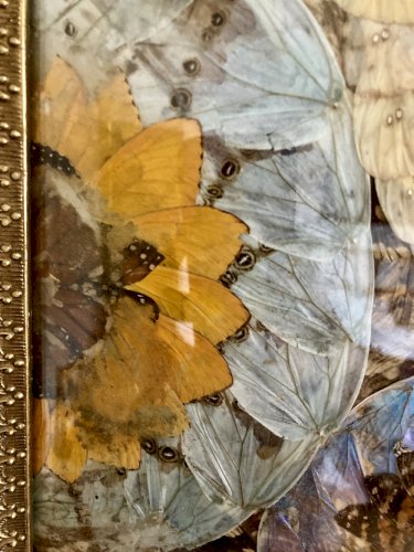 Composition abstraite en ailes de papillons encadrée