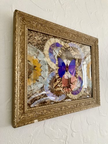 Composition abstraite en ailes de papillons encadrée