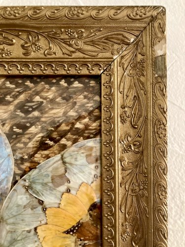 Composition abstraite en ailes de papillons encadrée