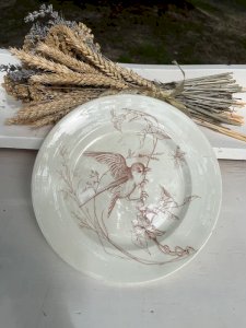 Low compote dish Clairefontaine in ironstone 19th century