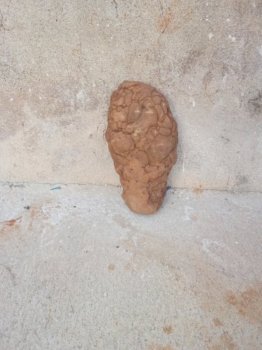 Concrétion appelée gotten 