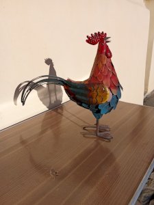 Coq métal