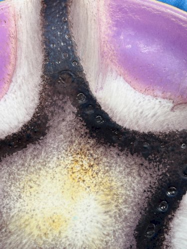 Corbeille à fruits west-Germany