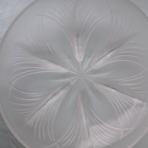 dot