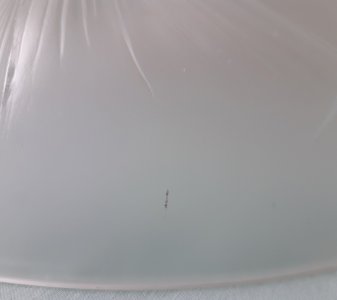 dot