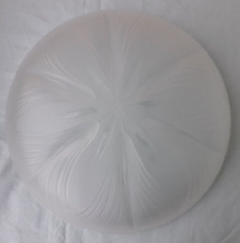 Coupe verre Verlys