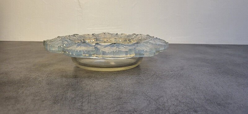 COUPE VIDE POCHE STYLE LALIQUE