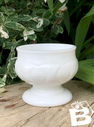 Coupe vintage blanche en opaline